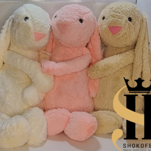 عروسک دخترانه جیلی کت