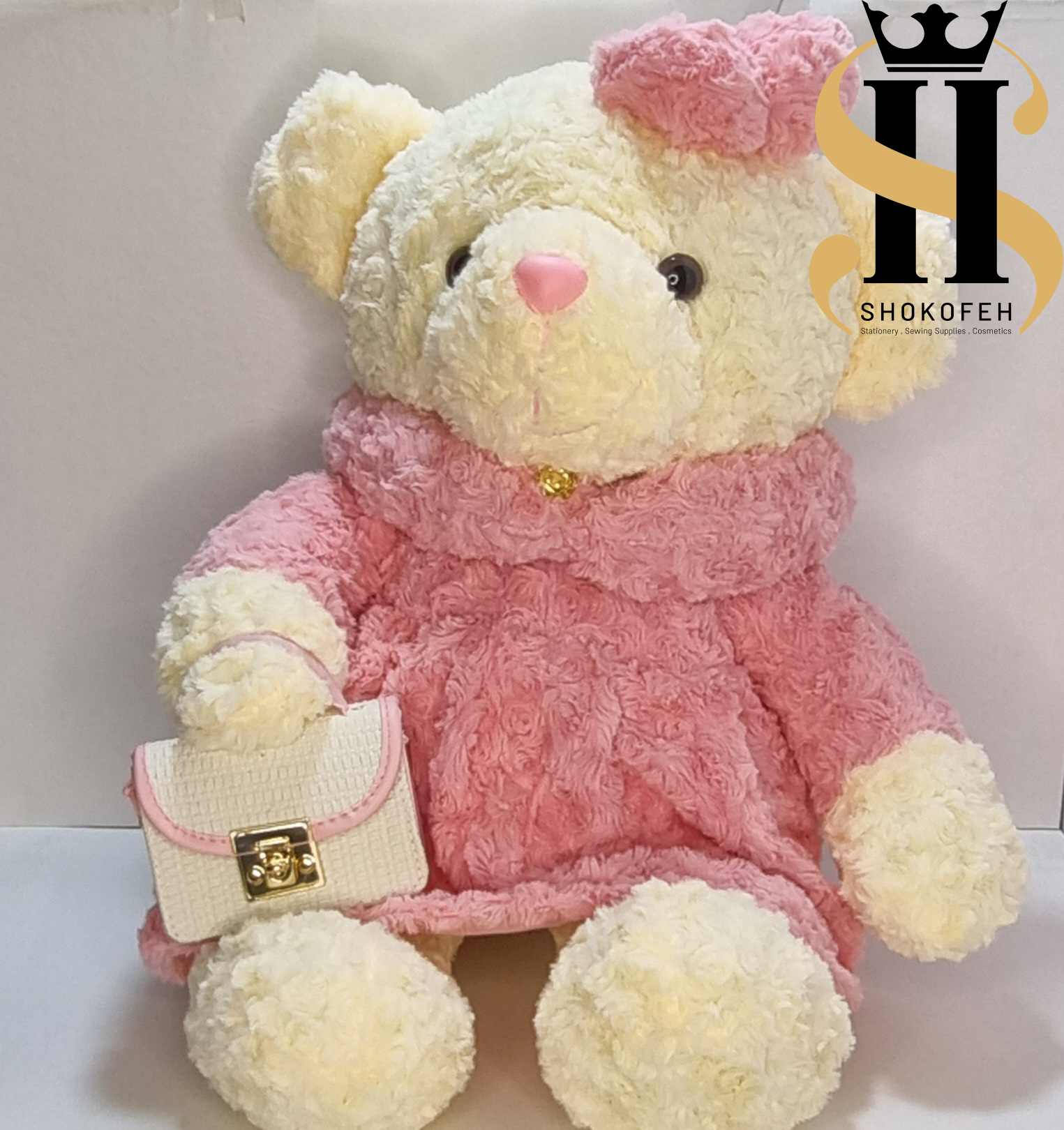 عروسک خرسی دخترانه با کیف در دست
