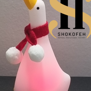 چراغ حواب اردکی اسیتاده