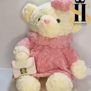 عروسک خرسی دخترانه با کیف در دست